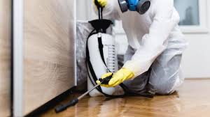 Best Residential Pest Control  in Mount Olive, AL